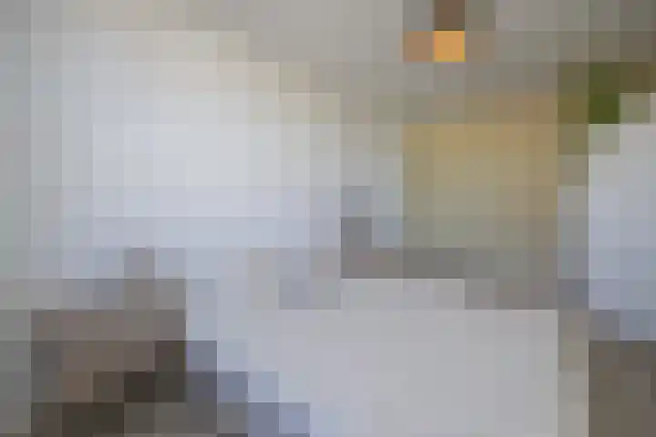 Honderdbunder 1 Breda thumbnail 17