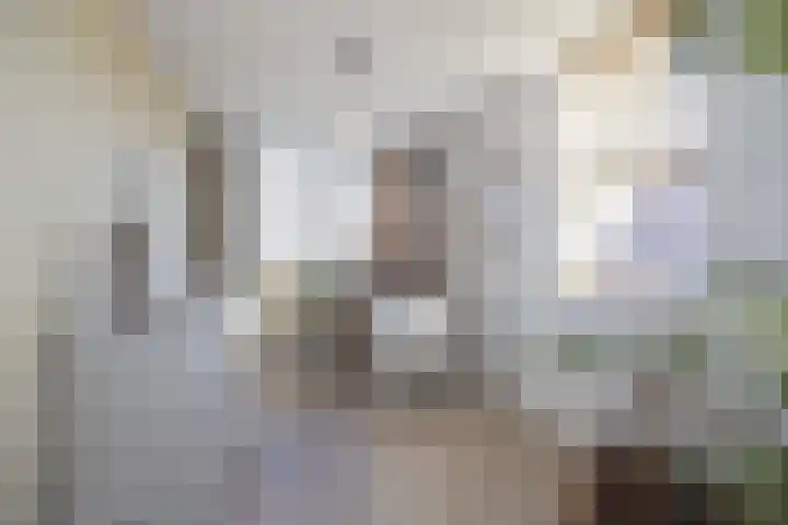 Honderdbunder 1 Breda thumbnail 19