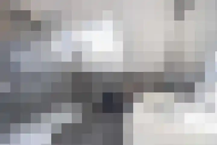 Honderdbunder 1 Breda thumbnail 20