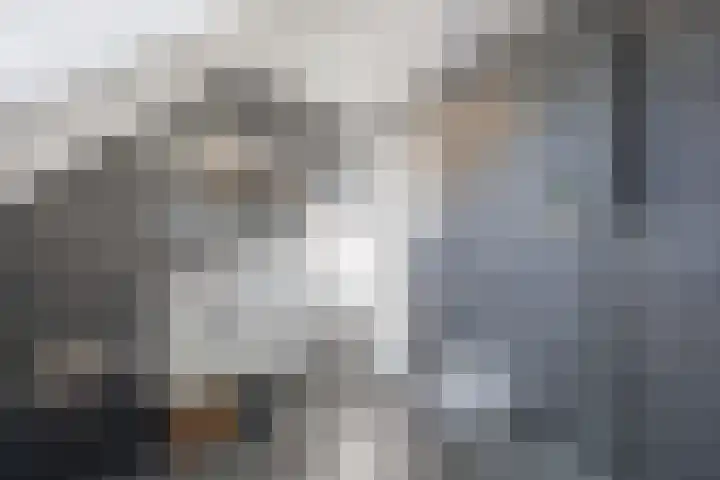 Honderdbunder 1 Breda thumbnail 21