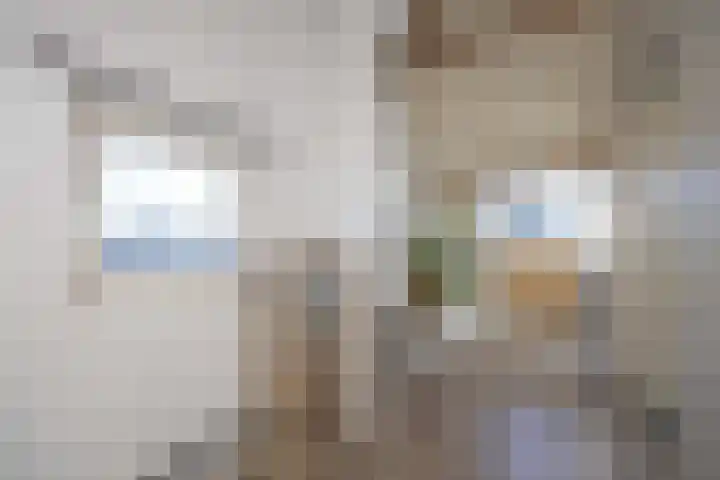 Honderdbunder 1 Breda thumbnail 22