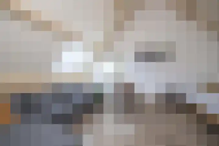 Honderdbunder 1 Breda thumbnail 24