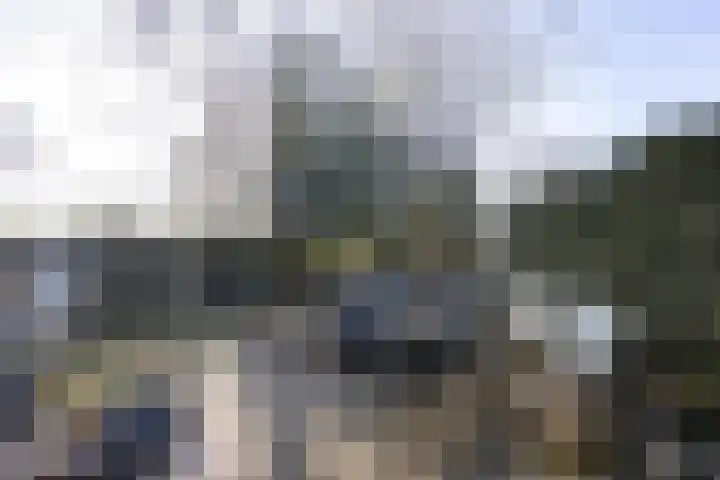 Honderdbunder 1 Breda thumbnail 28