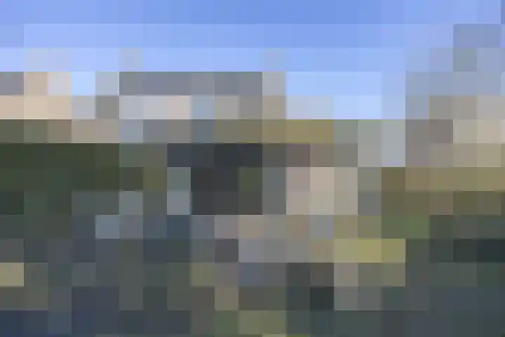 Honderdbunder 1 Breda thumbnail 29