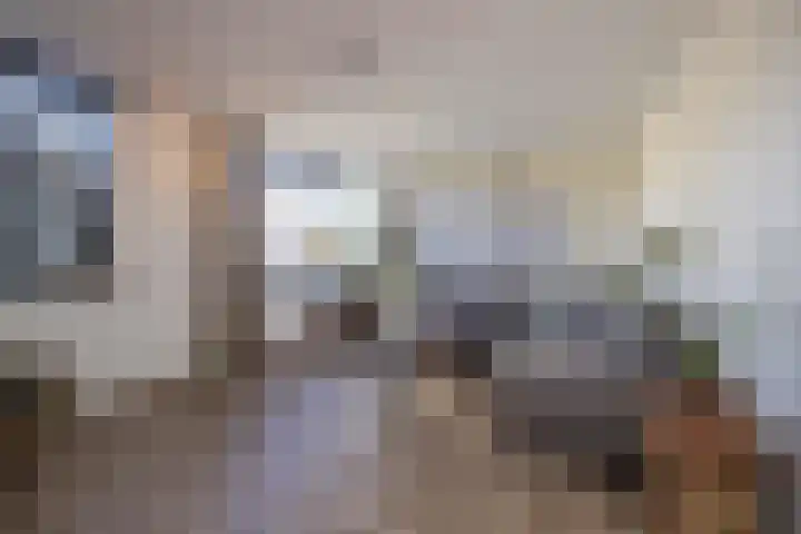 Honderdbunder 1 Breda thumbnail 6