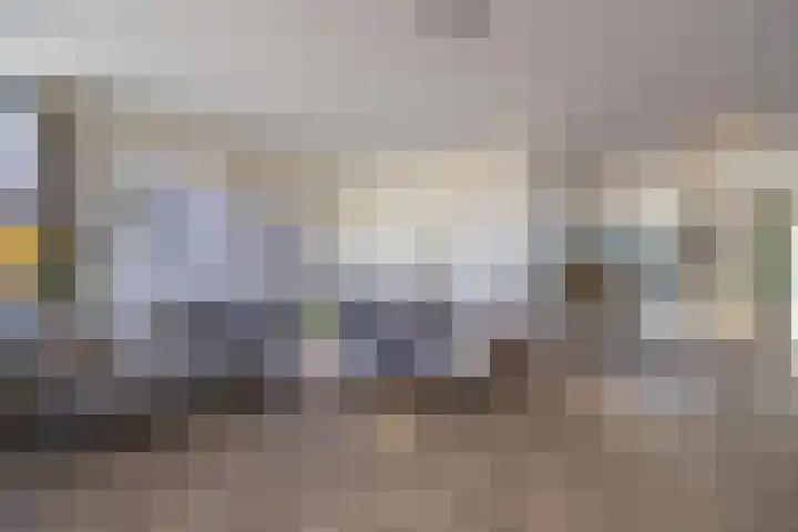Honderdbunder 1 Breda thumbnail 7
