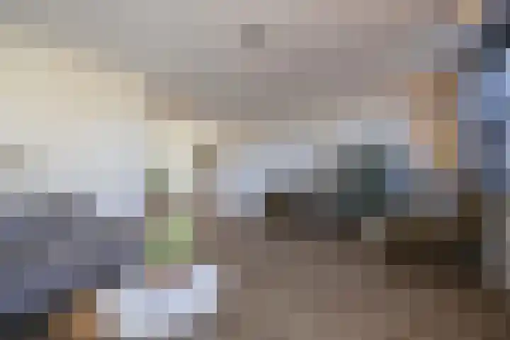 Honderdbunder 1 Breda thumbnail 8