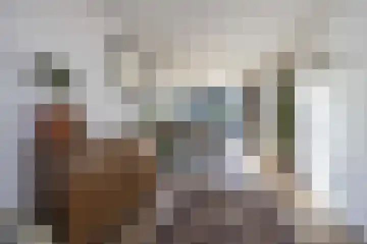 Honderdbunder 1 Breda thumbnail 9