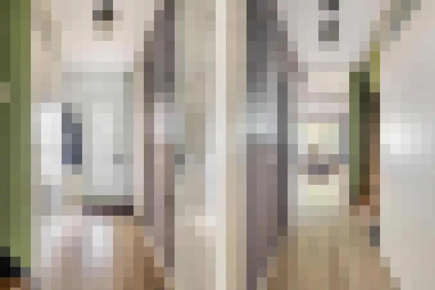 Honderdbunder 15 Breda thumbnail 11