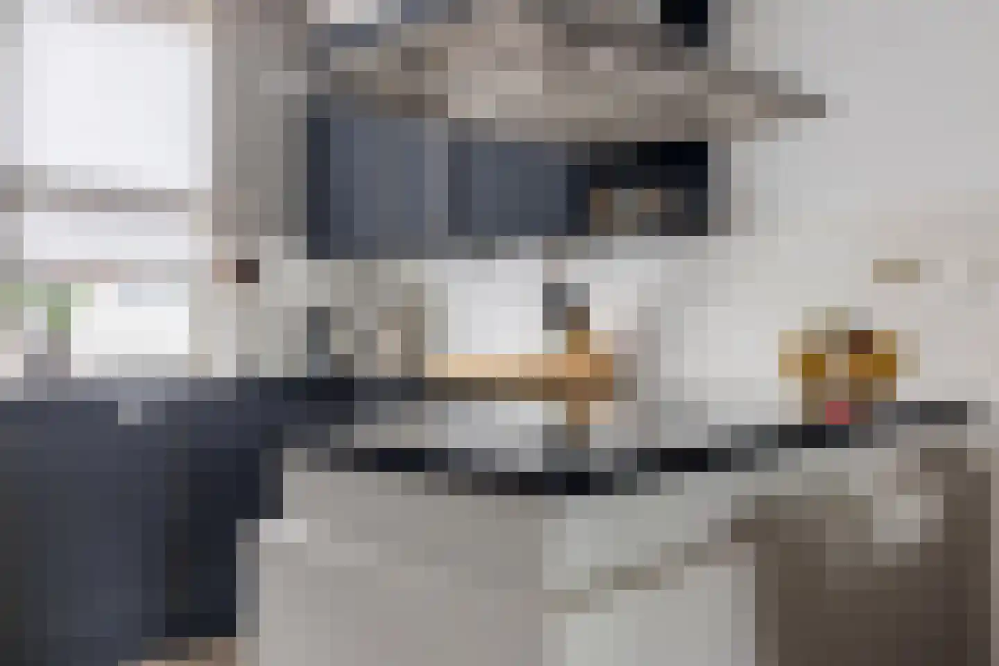 Honderdbunder 15 Breda thumbnail 20