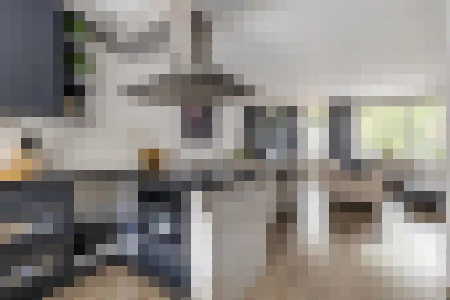Honderdbunder 15 Breda thumbnail 23