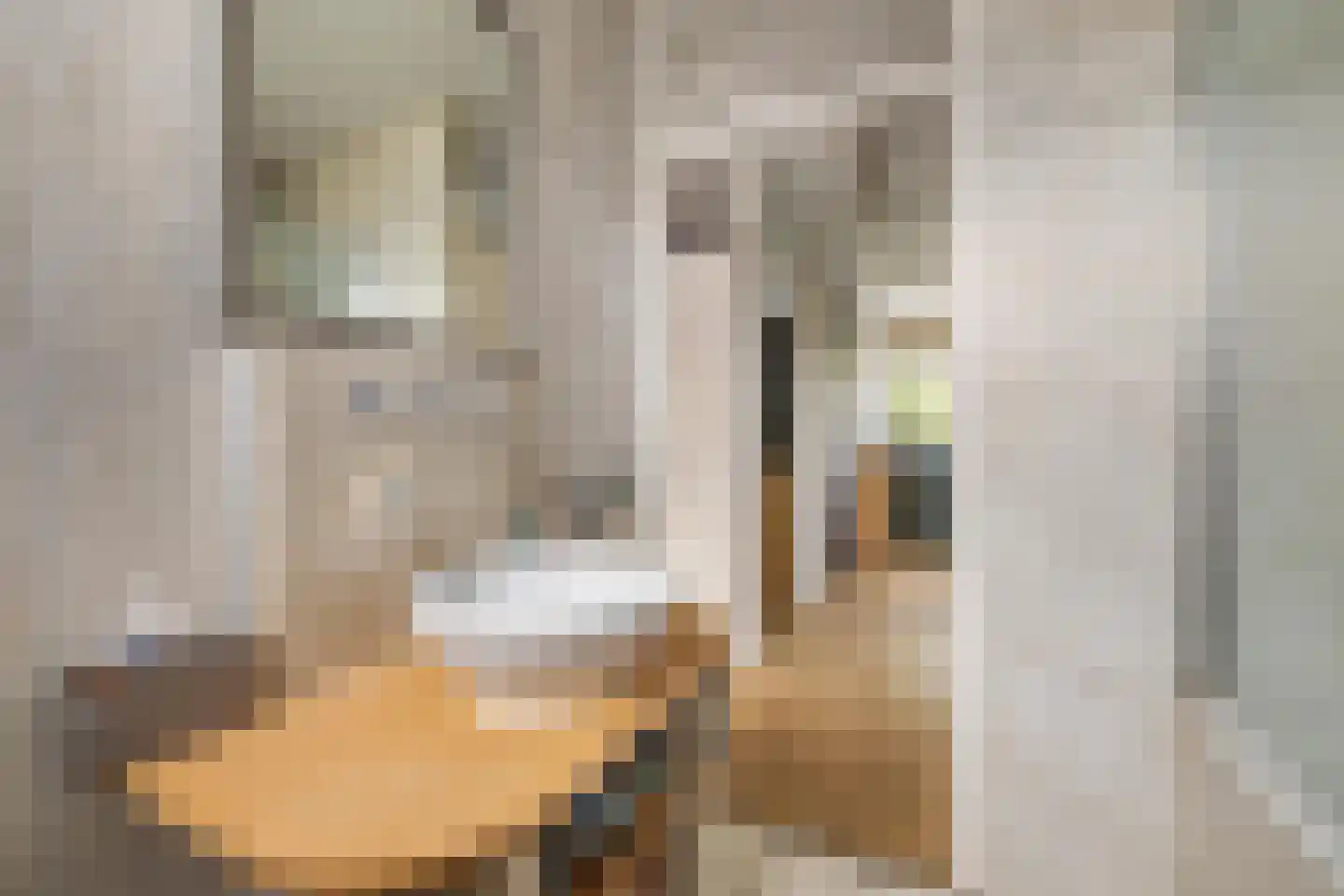 Honderdbunder 15 Breda thumbnail 35