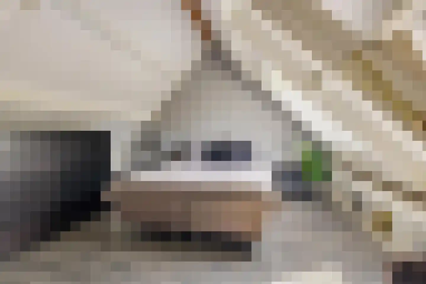 Honderdbunder 15 Breda thumbnail 37