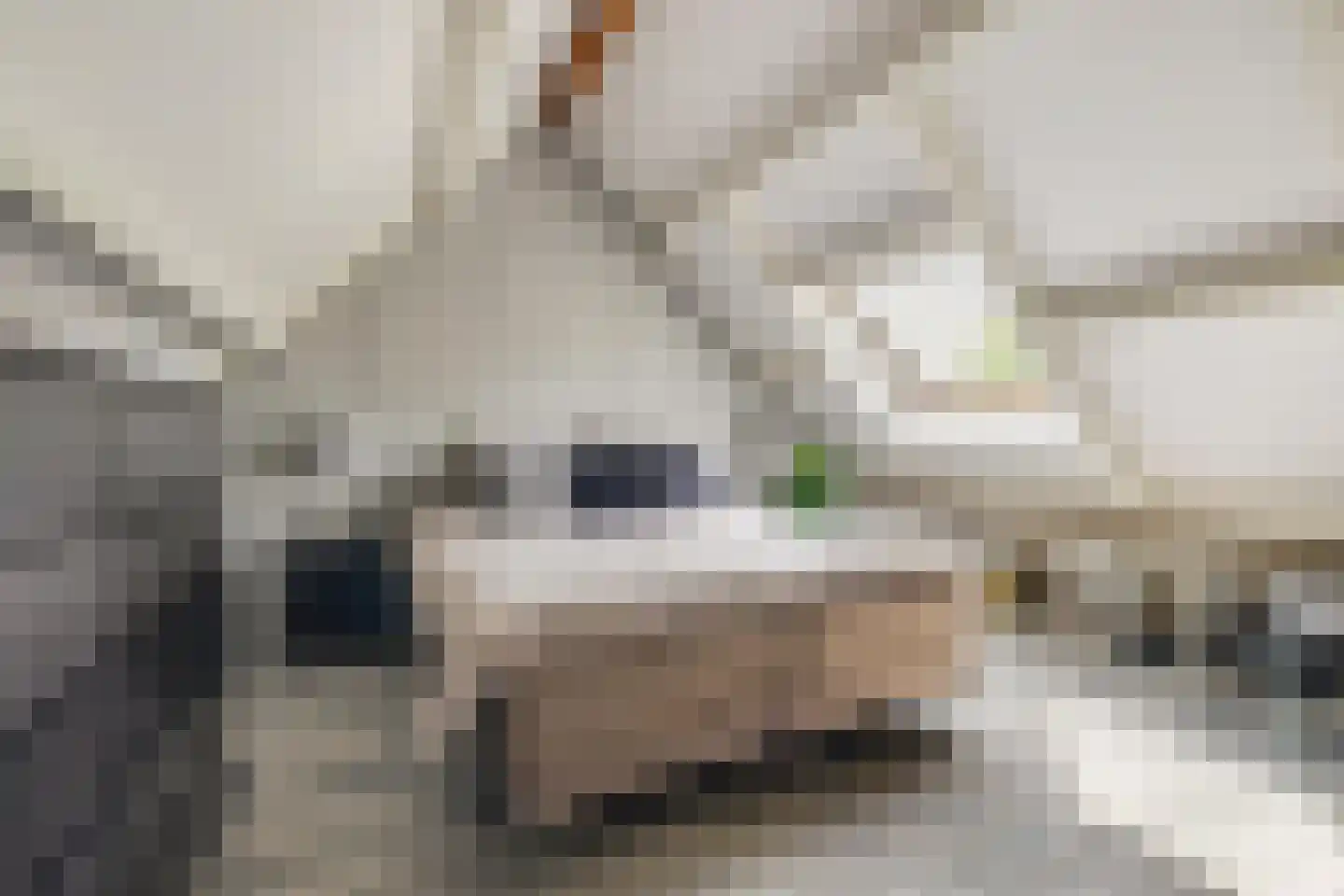 Honderdbunder 15 Breda thumbnail 38