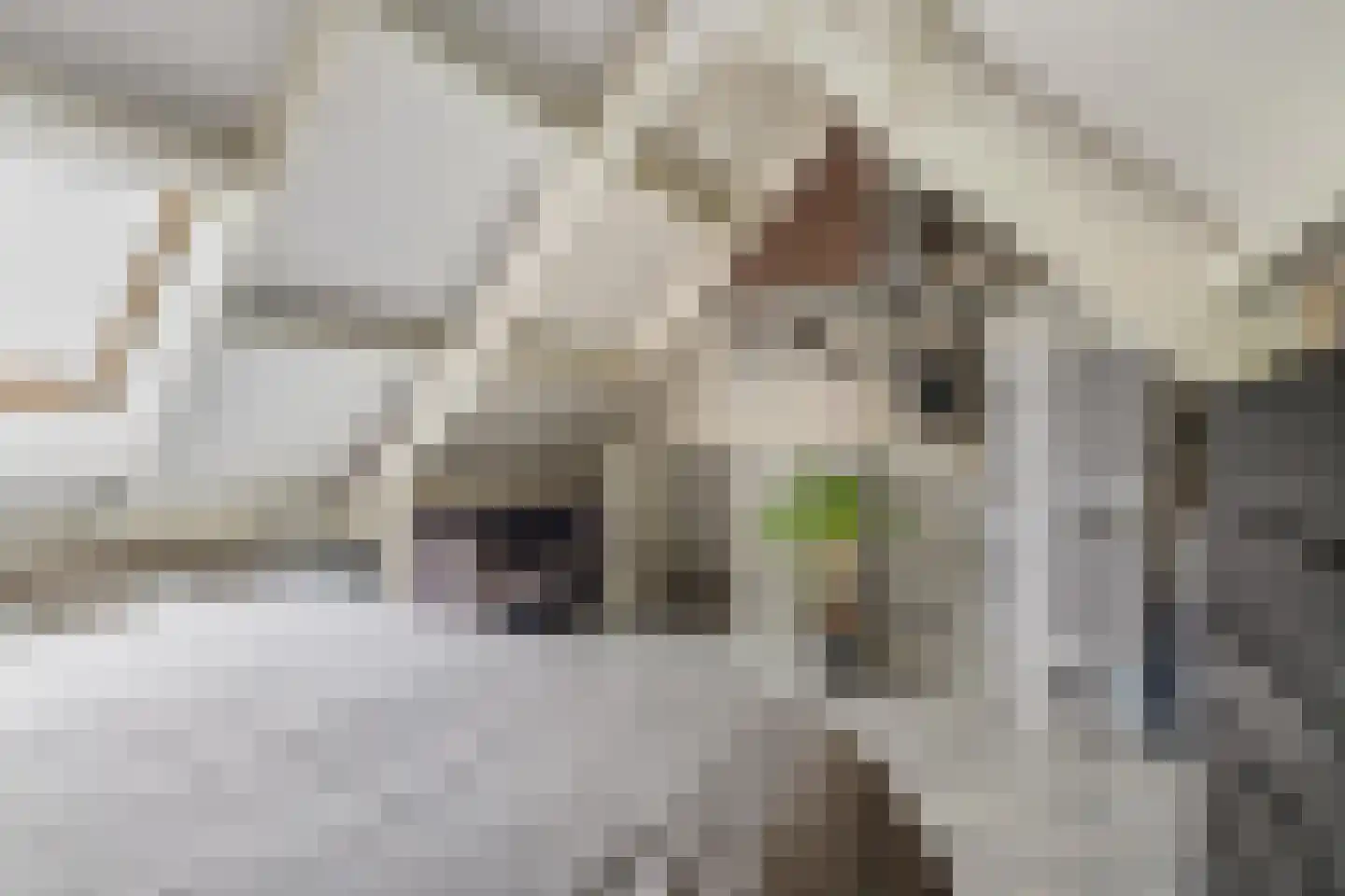 Honderdbunder 15 Breda thumbnail 39