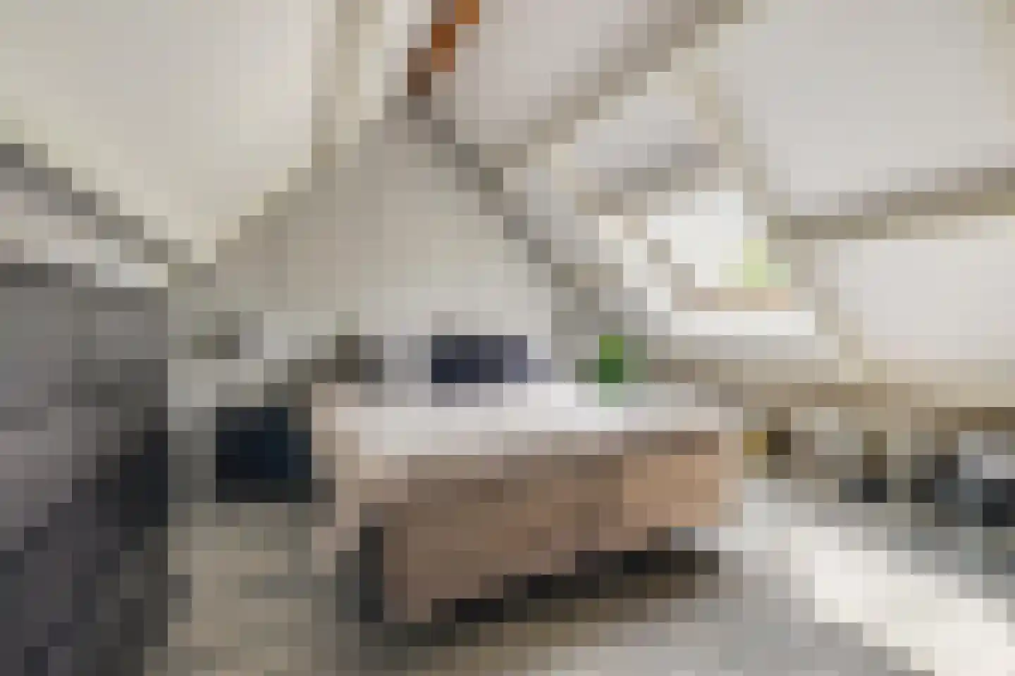 Honderdbunder 15 Breda thumbnail 4