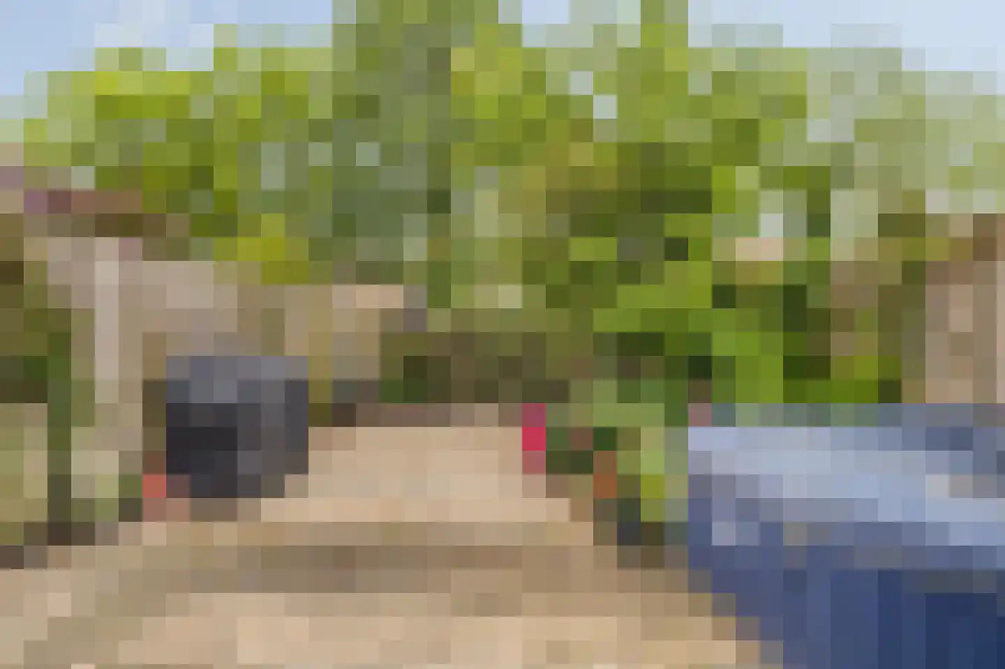 Honderdbunder 15 Breda thumbnail 41