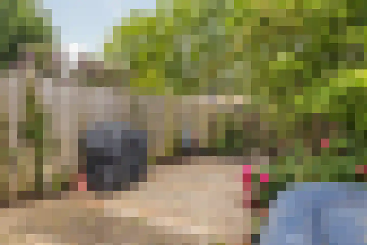 Honderdbunder 15 Breda thumbnail 42