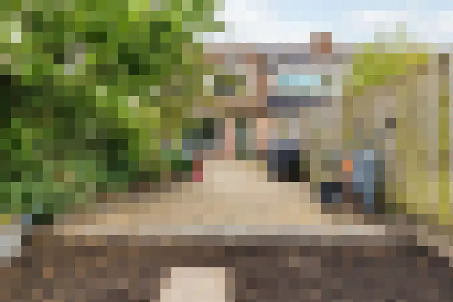 Honderdbunder 15 Breda thumbnail 43