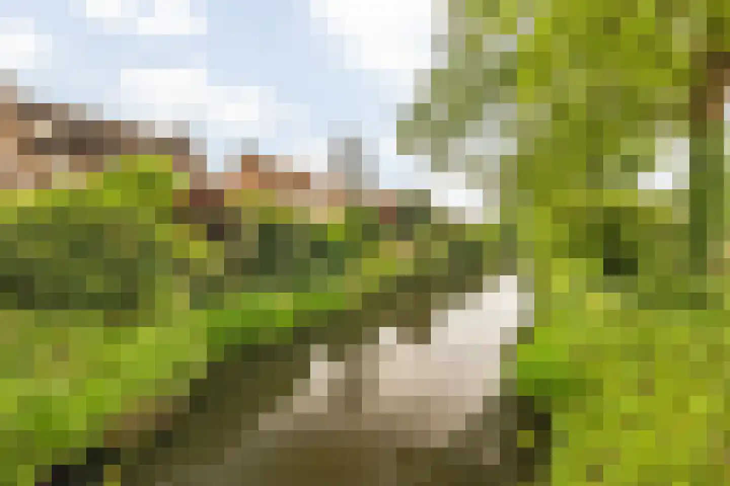 Honderdbunder 15 Breda thumbnail 46