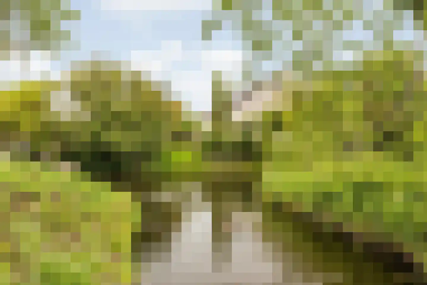 Honderdbunder 15 Breda thumbnail 47