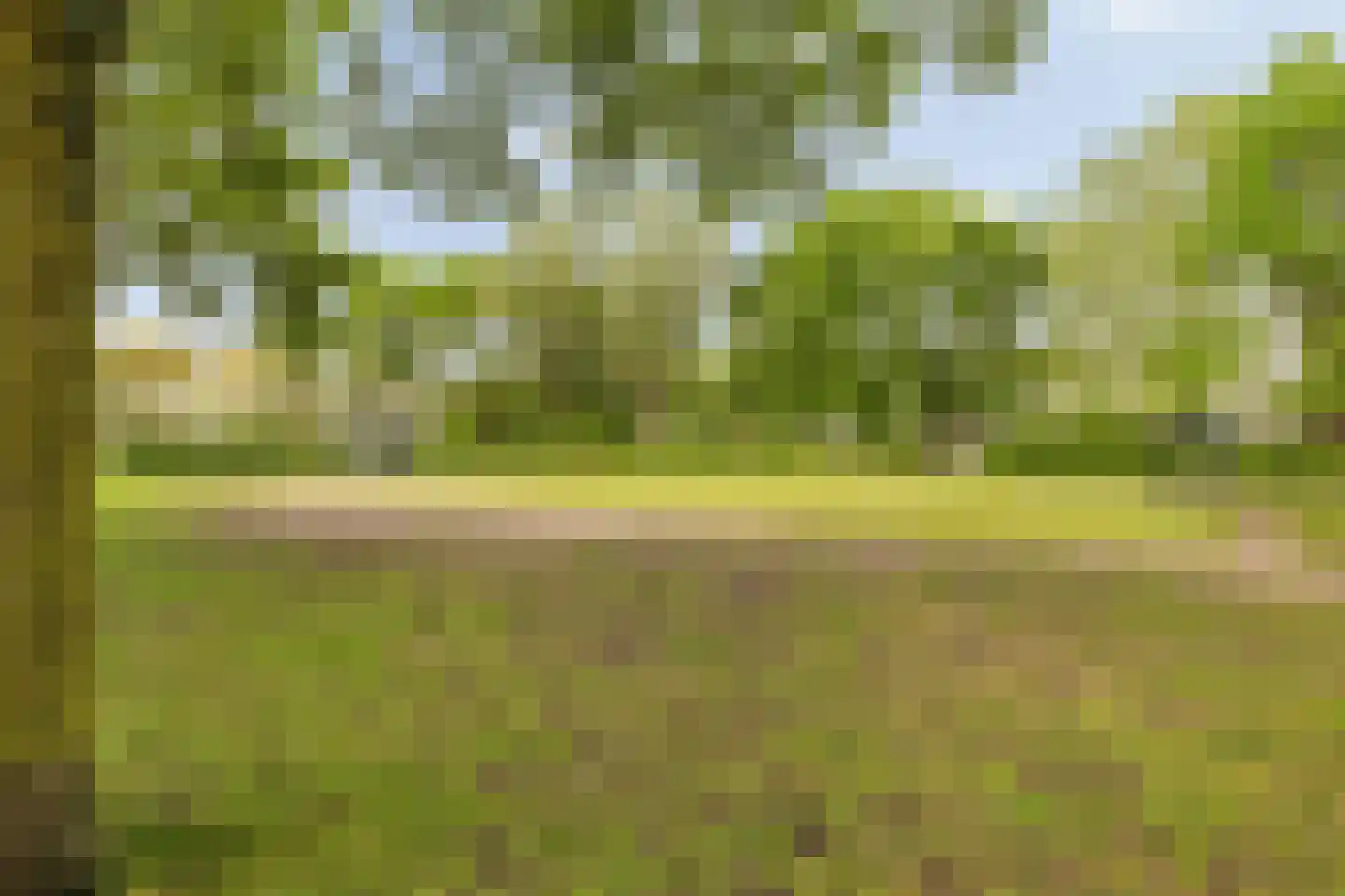 Honderdbunder 15 Breda thumbnail 48