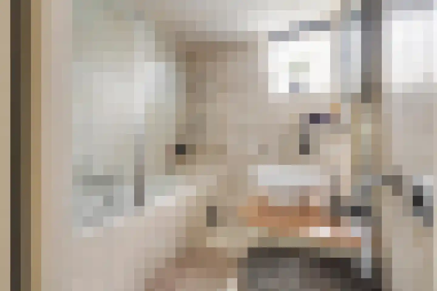 Honderdbunder 15 Breda thumbnail 5