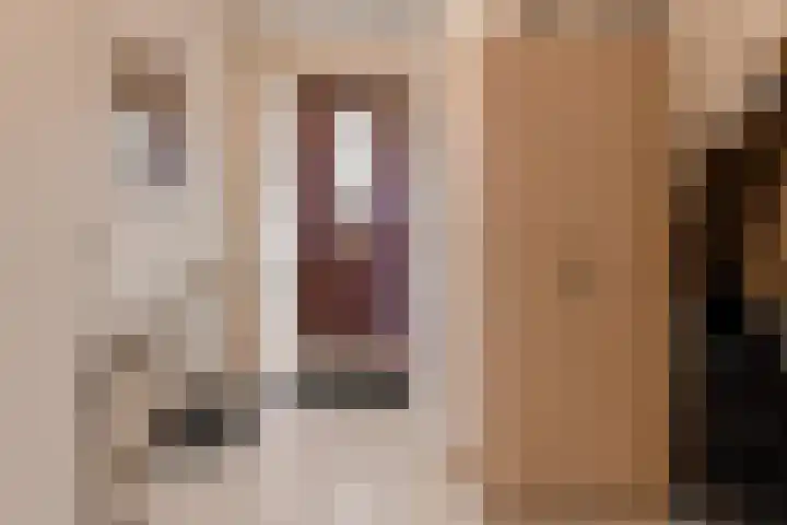 Honderdbunder 32 Breda thumbnail 12