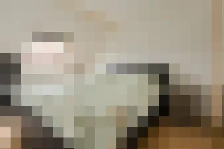 Honderdbunder 32 Breda thumbnail 15