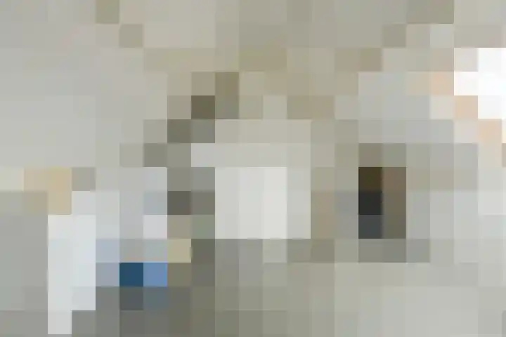 Honderdbunder 32 Breda thumbnail 25