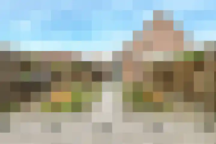 Honderdbunder 32 Breda thumbnail 27