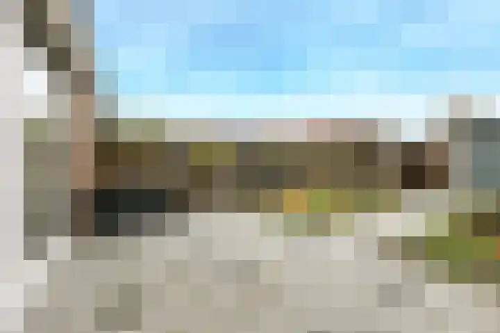 Honderdbunder 32 Breda thumbnail 29