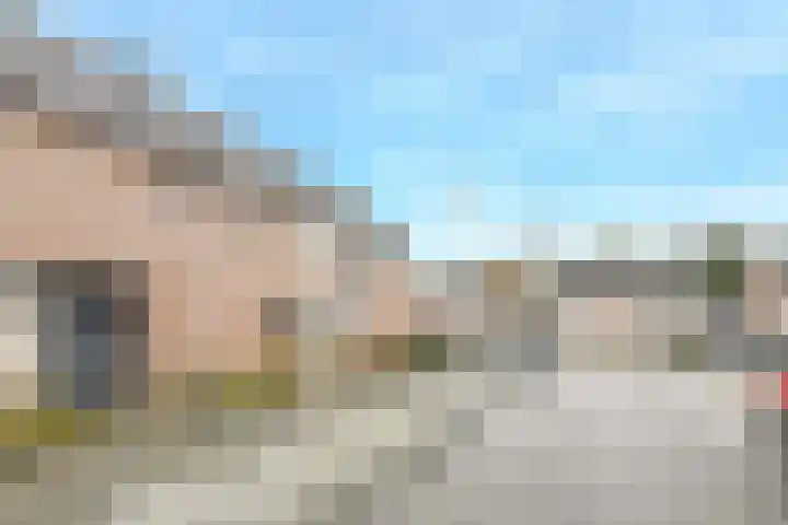 Honderdbunder 32 Breda thumbnail 31