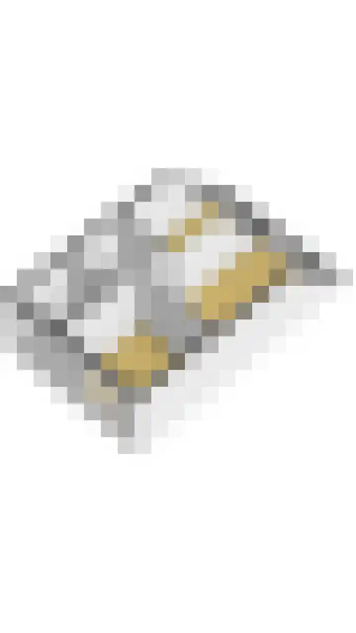 Honderdbunder 32 Breda thumbnail 37