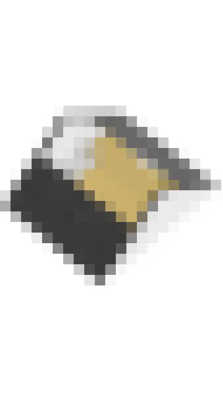 Honderdbunder 32 Breda thumbnail 38
