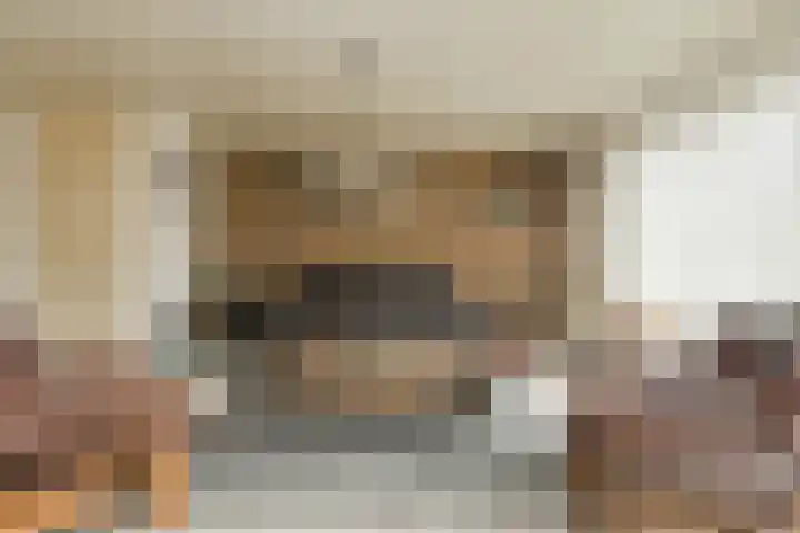 Honderdbunder 32 Breda thumbnail 5