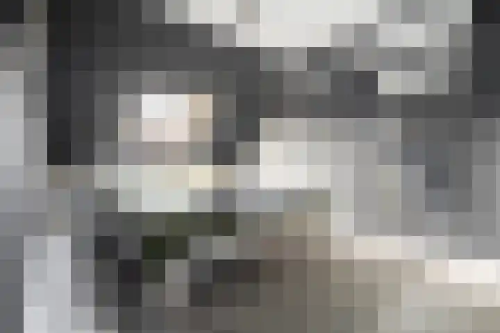 Honderdbunder 52 Breda thumbnail 15