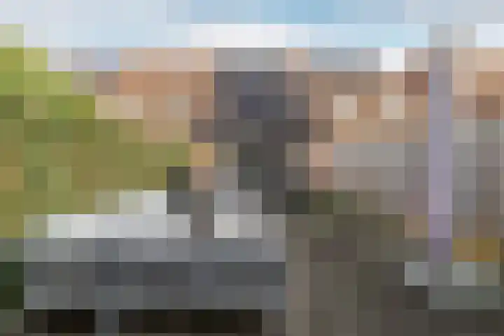 Honderdbunder 52 Breda thumbnail 20