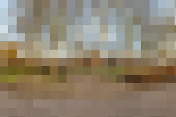 Honderdbunder 52 Breda thumbnail 23