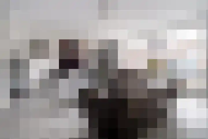 Honderdbunder 52 Breda thumbnail 8