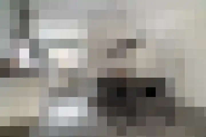 Honderdbunder 52 Breda thumbnail 9