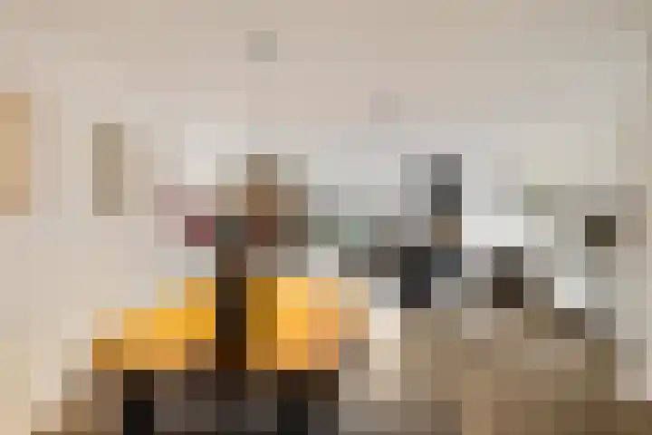 Honderdspint 14 Haren Gn thumbnail 10