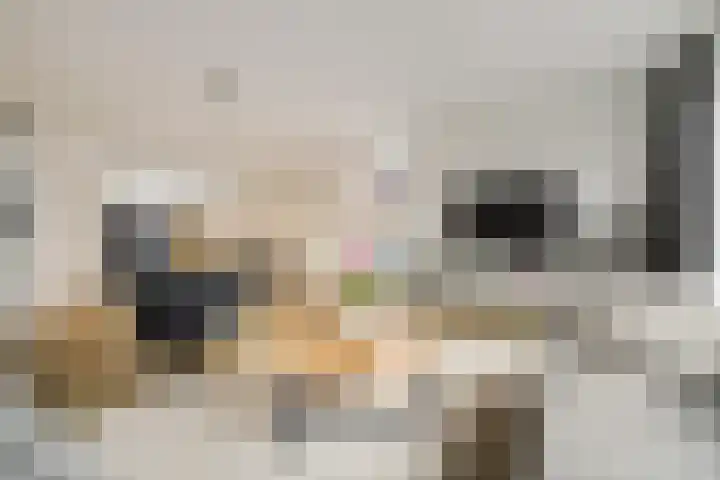Honderdspint 14 Haren Gn thumbnail 11