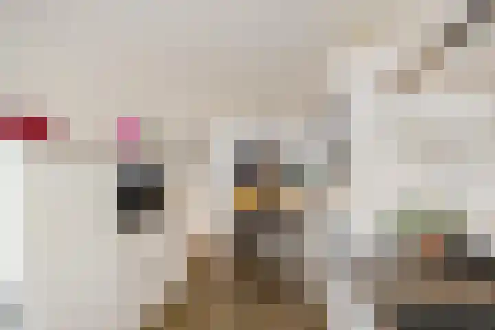 Honderdspint 14 Haren Gn thumbnail 13