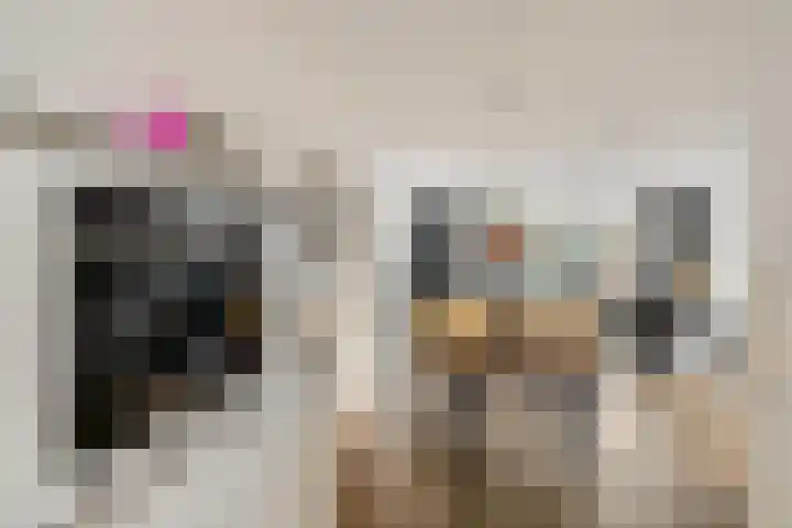 Honderdspint 14 Haren Gn thumbnail 14