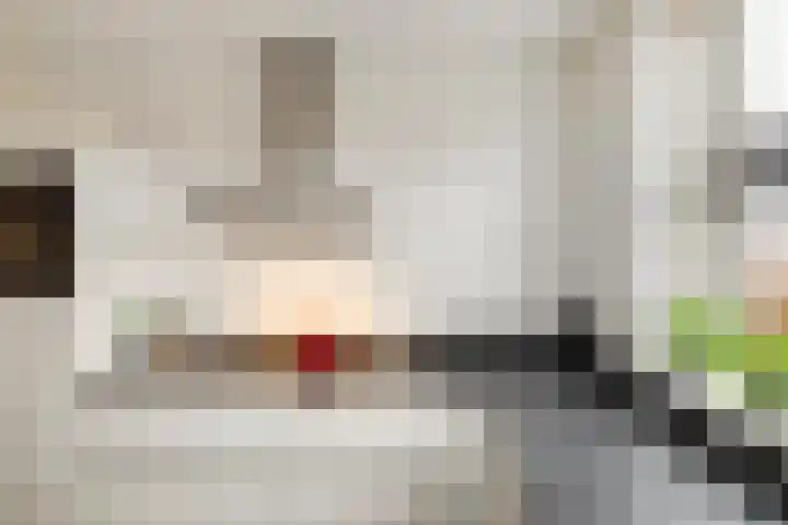 Honderdspint 14 Haren Gn thumbnail 15