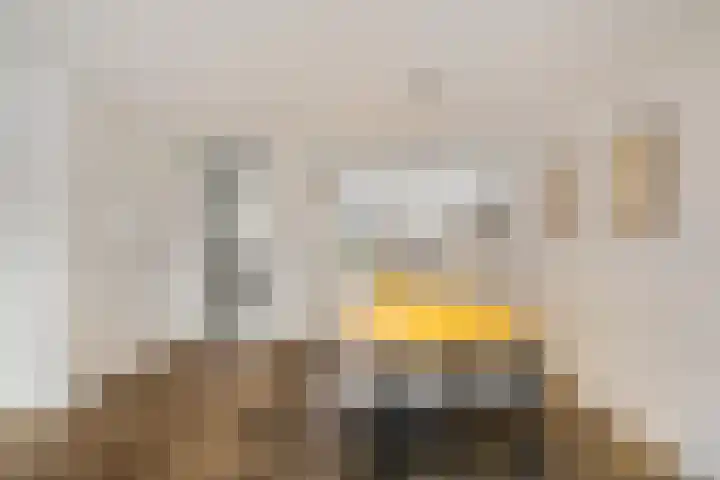 Honderdspint 14 Haren Gn thumbnail 16
