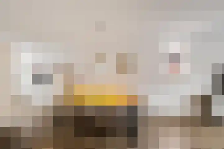 Honderdspint 14 Haren Gn thumbnail 17