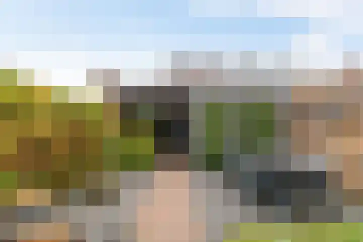 Honderdspint 14 Haren Gn thumbnail 19