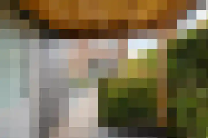 Honderdspint 14 Haren Gn thumbnail 20
